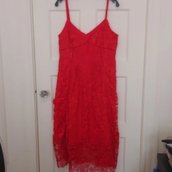 Ted Baker Valens Red Lace Midi Dress - Picture 5 of 12